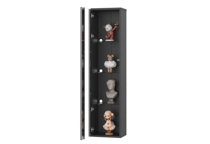 OKWISH Vitrine mit LED-Beleuchtung (Multifunktionale Glasvitrine 40 x 29 x 170 cm mit LED-Farbwechsellicht, Fernbedienung/App-Steuerung, Glastrennwand und Acrylplatte) LED-Farbwechsellicht von OKWISH