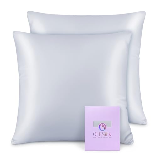 OLESILK Seide Kissenbezug Kissenhülle Haar- und Hautpflege mit Reißverschluss 16 Momme 2 Stücke Silbergrau 40x40cm von OLESILK