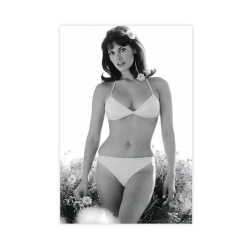Poster "Schauspielerin Raquel Welch" (15) auf Leinwand, Schlafzimmer, Dekoration, Landschaft, Büro, Raumdekoration, Geschenk, 60 x 90 cm von OLFCESPP