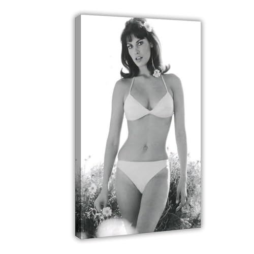 Poster auf Leinwand, Motiv: Schauspielerin Raquel Welch, Schlafzimmer, Landschaft, Büro, Raumdekoration, Geschenk, 40 x 60 cm, 15 Stück Poster auf Leinwand, Motiv: Schauspielerin Raquel Welch, Schlafzimmer, Landschaft, Büro, Raumdekoration, Geschenk, 40 x 60 cm, 15 Stück von OLFCESPP