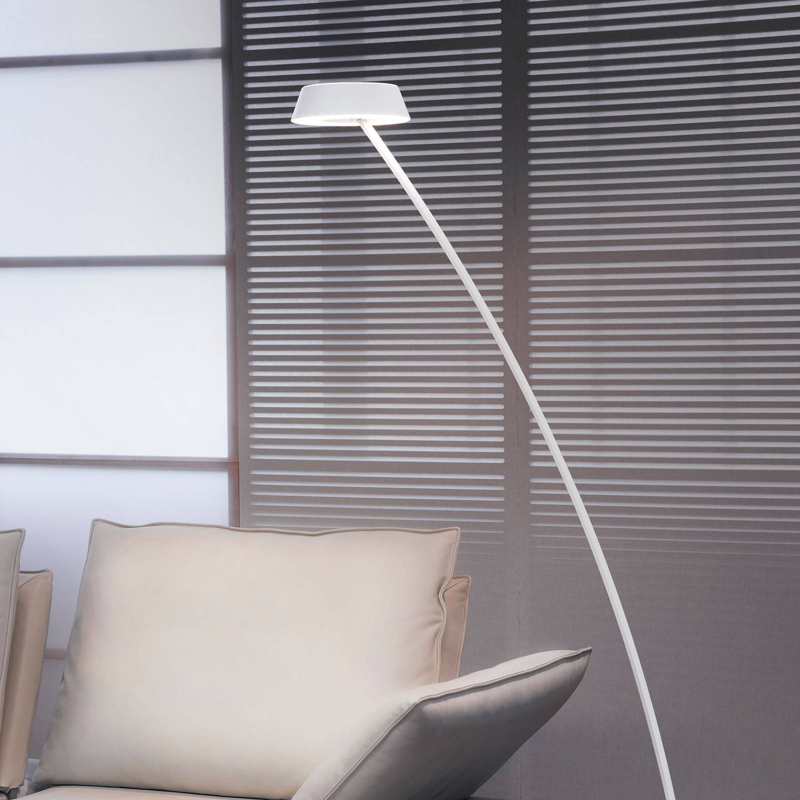 OLIGO Glance LED-Stehlampe gebogen weiß matt von Oligo