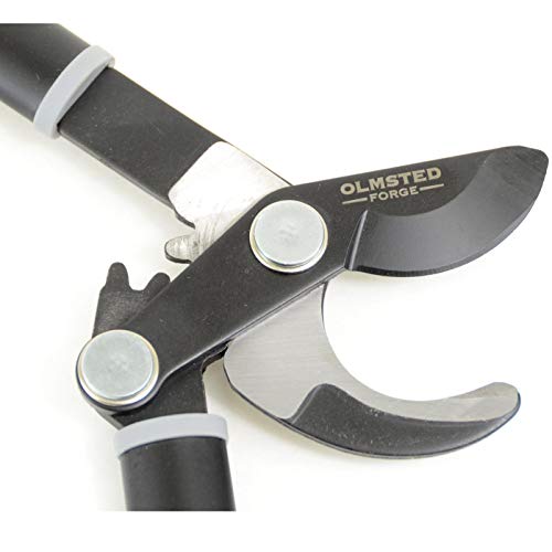 Bypass-Astschere mit Getriebe von OLMSTED FORGE