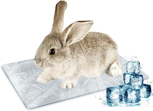 LeapBeast Kühlmatte für Haustiere, Kühlplatte aus Aluminiumlegierung, Sommer-Eisbett zum Kühlen von Haustieren für Meerschweinchen, Hamster, Kaninchen usw (L-30 * 20CM/1Pcs) von LeapBeast