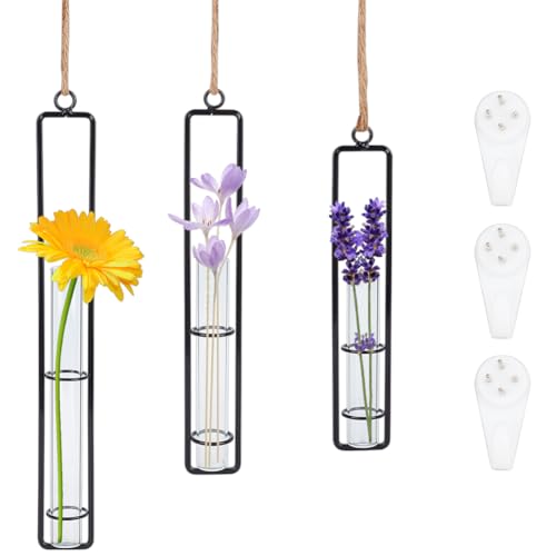 OLYCRAFT 3 Packung Schwarze Wandbehang-Anzuchtstation Klare Reagenzglasvasen Aus Glas Wandbehang-Terrarium-Anzuchtstation Glaspflanzgefäß Runder Hängender Aus Glas Für Die Heimdekoration von OLYCRAFT