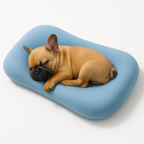 OLYGEE Medium Dog Bed for Medium Dogs, Washable Dog Cat Bed, Comfort Pet Couch Sofa with Washable Removable Cover, Pets Bed (Blue,29.5" x 19.5" x 6") von OLYGEE