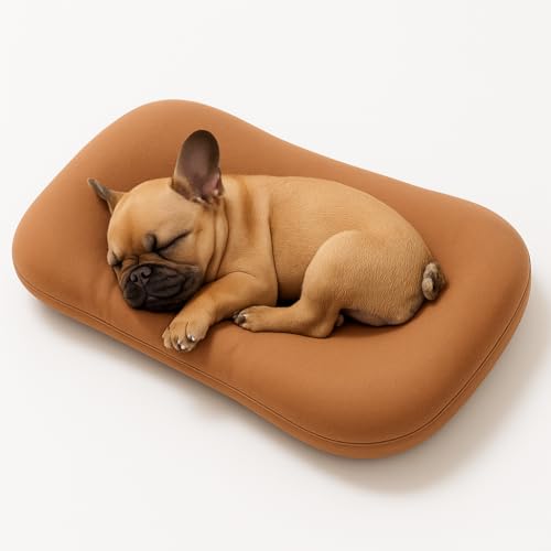 OLYGEE Medium Dog Bed for Medium Dogs, Washable Dog Cat Bed, Comfort Pet Couch Sofa with Washable Removable Cover, Pets Bed (Brown,29.5" x 19.5" x 6") von OLYGEE