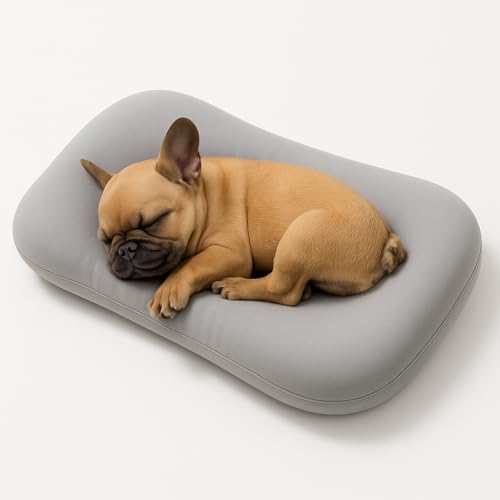 OLYGEE Medium Dog Bed for Medium Dogs, Washable Dog Cat Bed, Comfort Pet Couch Sofa with Washable Removable Cover, Pets Bed (Gray,29.5" x 19.5" x 6") von OLYGEE