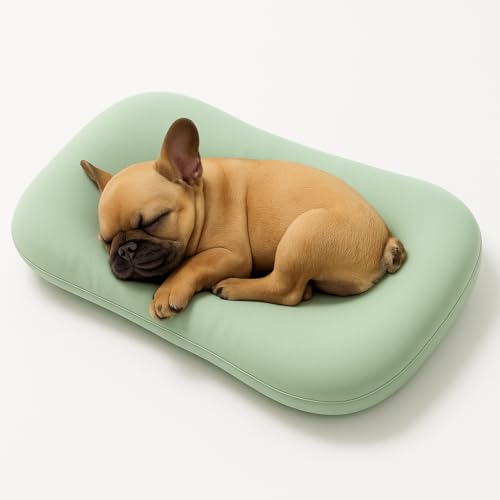 OLYGEE Medium Dog Bed for Medium Dogs, Washable Dog Cat Bed, Comfort Pet Couch Sofa with Washable Removable Cover, Pets Bed (Green,29.5" x 19.5" x 6") von OLYGEE