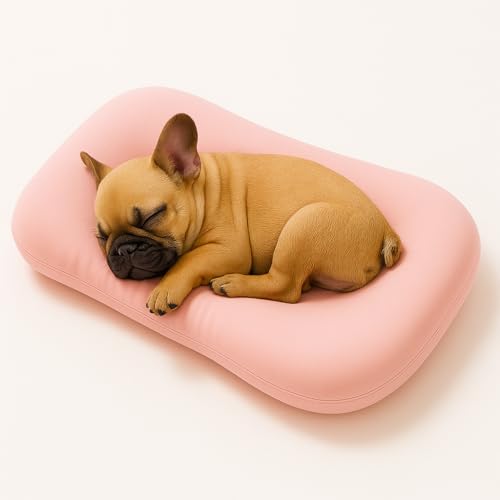 OLYGEE Medium Dog Bed for Medium Dogs, Washable Dog Cat Bed, Comfort Pet Couch Sofa with Washable Removable Cover, Pets Bed (Pink,29.5" x 19.5" x 6") von OLYGEE