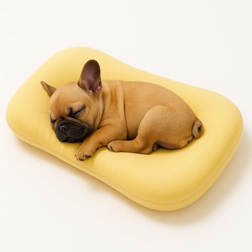 OLYGEE Medium Dog Bed for Medium Dogs, Washable Dog Cat Bed, Comfort Pet Couch Sofa with Washable Removable Cover, Pets Bed (Yellow,29.5" x 19.5" x 6") von OLYGEE