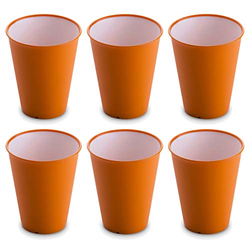 Omada Design, Satz 6 Stücke Bargläser, Cocktailgläser oder 30Cl Gläser, Linea Sanaliving, Made in Italy, Gläser aus Kunststoff und integrierten antimikrobiellen Mitteln, um Bakterien und Pilze. Orange von omada