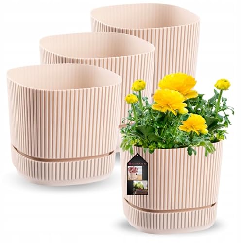 OMAGO, 3er Set Blumentöpfe, Blumentöpfe, Blumentöpfe für Innen und Außen, befüllt, stilvolle Blumentöpfe (Beige, 17cm) von OMAGO