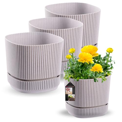 OMAGO, 3er Set Blumentöpfe, Blumentöpfe, Blumentöpfe für Innen und Außen, befüllt, stilvolle Blumentöpfe (Grau, 13cm) von OMAGO