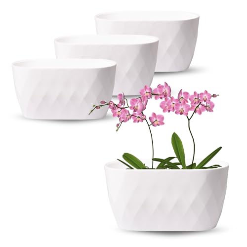 OMAGO, 3er Set Orchideenüberzüge, 3x Blumentopf, verschiedene Farbvarianten, Blumentöpfe, Orchideen und Blumen, oval (Weiß) von OMAGO