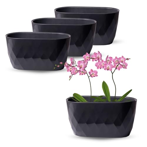 OMAGO, 3er Set Orchideenüberzüge, 3x Blumentopf, verschiedene Farbvarianten, Haustöpfe, Orchideen und Blumen, oval (Schwarz) von OMAGO