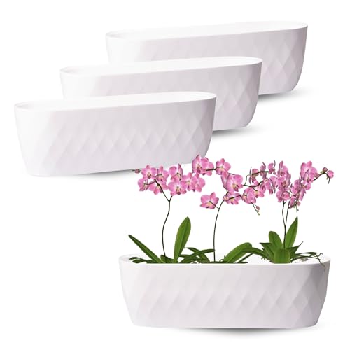 OMAGO, 3er Set längliche Blumentöpfe, Orchideenüberzüge, elegante große Abdeckungen, Blumentöpfe, oval, lang, verschiedene Farbvarianten (Weiß) von OMAGO