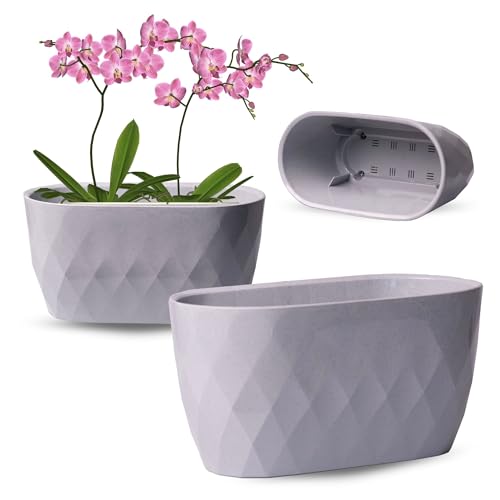 OMAGO, Blumentopf, Orchideenüberzug, elegante große Abdeckung, ovaler Blumentopf, moderner Stil, verschiedene Farbvarianten, Orchideen (Grau) von OMAGO