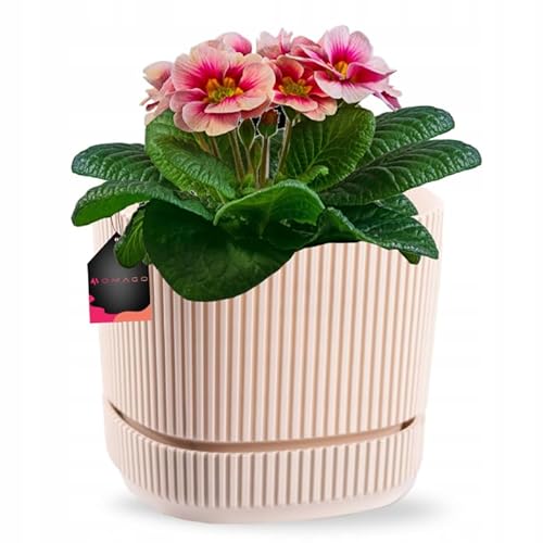 OMAGO, Moderner Blumentopf in verschiedenen Farben, Größen, geriffelter Blumentopf, Blumentopf für Innen und Außen, dekorativ, Blumen(Beige, 13cm) von OMAGO