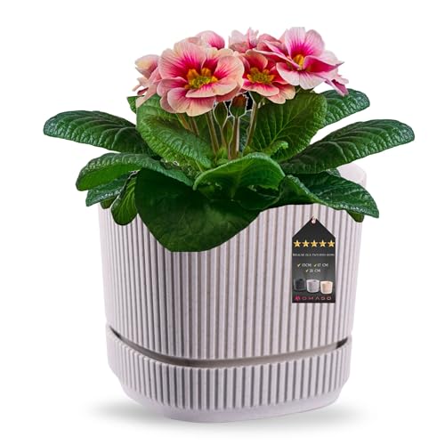 OMAGO, Moderner Blumentopf in verschiedenen Farben, Größen, geriffelter Blumentopf, Blumentopf für Innen und Außen, dekorativ, Blumen(Grau, 13cm) von OMAGO