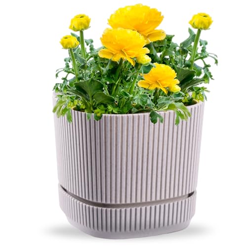 OMAGO, Moderner Blumentopf in verschiedenen Farben, Größen, geriffelter Blumentopf, Blumentopf für Innen und Außen, dekorativ, Blumen(Grau, 17cm) von OMAGO
