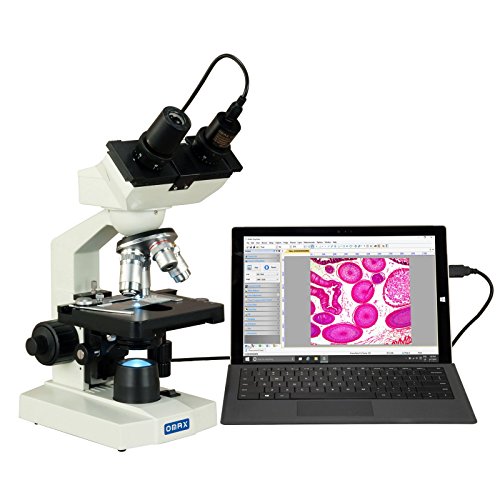 AmScope M82EZ-C50S OMAX Lab LED Compound Binokularmikroskop mit 5MP Kamera und mechanischem Tisch, 40x-2500x AmScope M82EZ-C50S OMAX Lab LED Compound Binokularmikroskop mit 5MP Kamera und mechanischem Tisch, 40x-2500x von OMAX