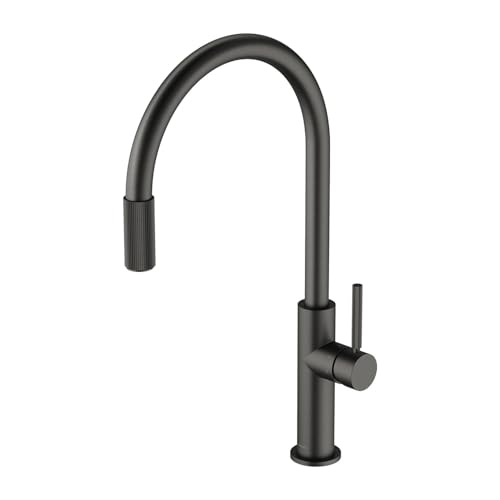 Omnires SW9057-FD1GR SWITCH Küchenarmatur mit Filterset, Graphite von OMNIRES