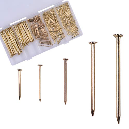 OMOTOOL Nägel Sortiment Set (300 Stück), vermessingte Nägel zum Aufhängen von Bildern, kleine Nägel für wand ，5 Größen Sortiment von OMOTOOL