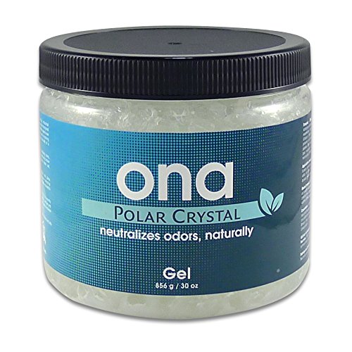 ONA Gel Polar Crystal 732g Geruchsneutralisierer von ONA