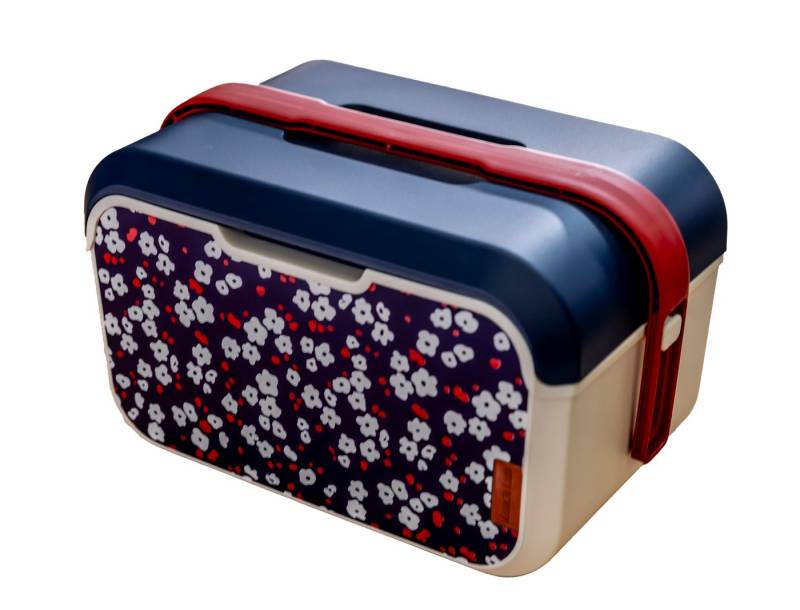 ONDIS24 Lunchbox Kühlbox Brotbüchse Picknickbox 5 Liter, Kunststoff ONDIS24 Lunchbox Kühlbox Brotbüchse Picknickbox 5 Liter, Kunststoff von ONDIS24