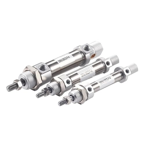 1 Stück DSNU12-16-20-25-32-40X25*50X75X80X100-P-A Serie Edelstahl doppeltwirkender Mini-Luft-Pneumatikzylinder (Hub 100 mm, DSNU20 (Bohrung 20 mm)) von ONGCPQPEO