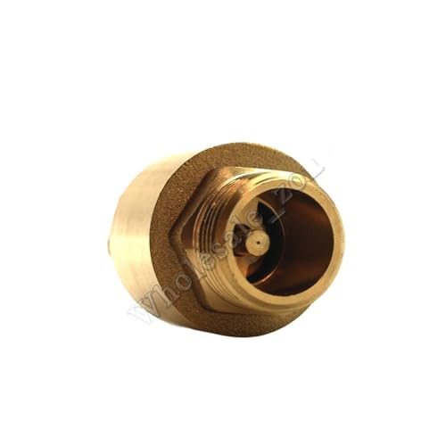 Multifunktionales NPT-Zubehör, 1,27 cm, Kupferdraht, Inline-Werkzeug für Zuhause, Rückschlagventil, vertikales Feder-Rückschlagventil, DIY von ONGCPQPEO
