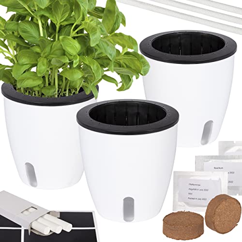 ONVAYA® Kräutertopf selbstwässernd | Wasserstand ablesbar | 3er Set Ø 13 cm mit Kräutersamen | Hochwertige Farbe von ONVAYA