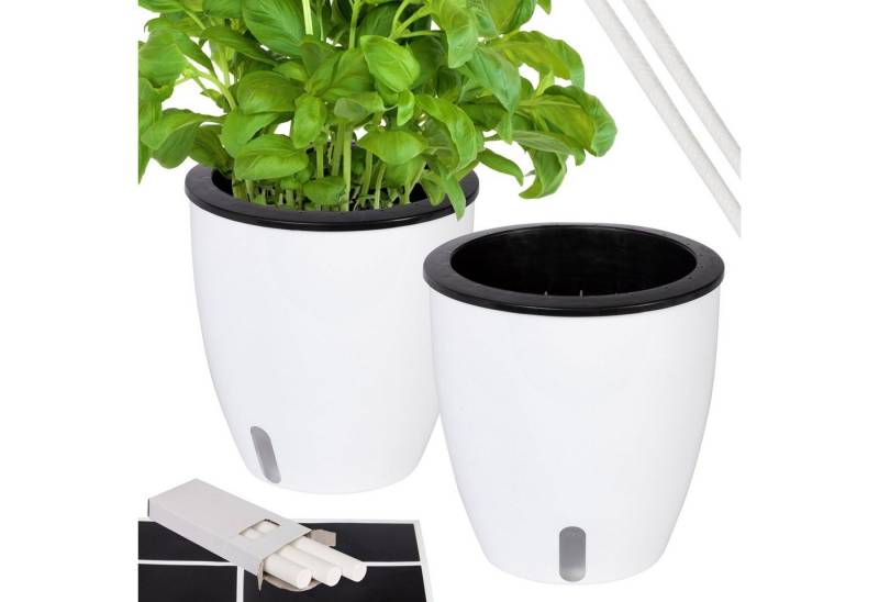 ONVAYA Kräutertopf Pflanztopf selbstwässernd, verscheidenene Sets von ONVAYA