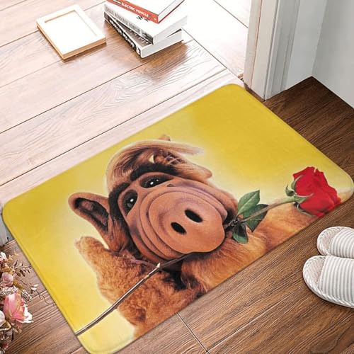 OOAHJEID Fußmatte Badteppich Teppich Alf mit Blumen-Fußmatte rutschfest für Badezimmer Küche Wohnzimmer Boden Tür Eingangsbereich OOAHJEID Fußmatte Badteppich Teppich Alf mit Blumen-Fußmatte rutschfest für Badezimmer Küche Wohnzimmer Boden Tür Eingangsbereich von OOAHJEID