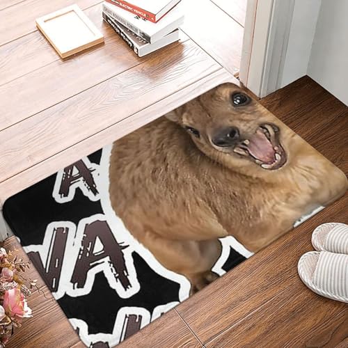 OOAHJEID Fußmatte Badteppich Teppich Awawa Angry Screaming Rock Hyrax Meme Rutschfester Bodenmattenteppich von OOAHJEID