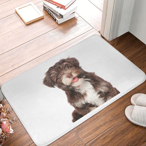 OOAHJEID Fußmatte Badteppich Teppich Bichon Havanese Hund in Aquarell rutschfeste Bodenmatte waschbarer Teppich von OOAHJEID