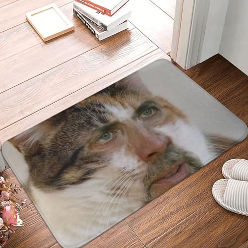 OOAHJEID Fußmatte Badteppich Teppich Fußmatte mit Nicholas Cage-Motiv Katze Meme rutschfest für Eingangsbereich Küche Bad Wohnzimmer von OOAHJEID