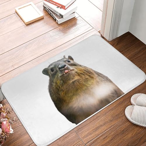 OOAHJEID Fußmatte Badteppich Teppich Rock Hyrax Foto Vampir Kartoffel Anti-Rutsch-Bodenmatte Waschbarer Teppich von OOAHJEID
