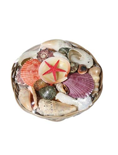 Muscheln mit Seestern im Korb von Out of the blue