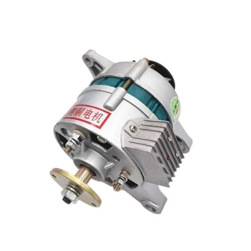 AC/-Ladegerät mit Lampengenerator 12 V/14 V Landwirtschaftsfahrzeug Dreiradtraktor Mehrzweck-Permanentmagnetgenerator Für Heimwerker(500W double wheel) von OPFVUJIKX