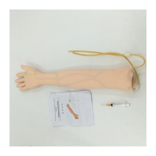 Anatomisches Modell in Lebensgröße, Phlebotomie, Venenpunktion, Armanatomie, Injektionsübung, medizinischer Simulator, Krankenschwester-Trainingsset Für Heimwerker(A) von OPFVUJIKX
