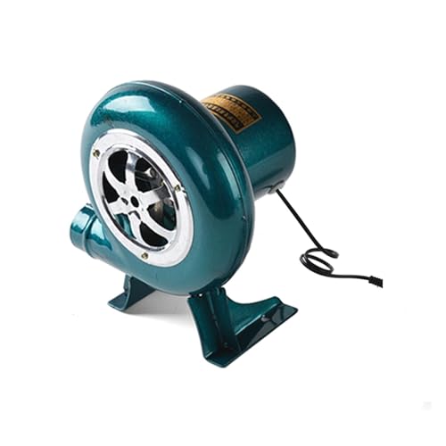 OPFVUJIKX Gebläse, Elektrischer Verbrennungsgebläseventilator for Grill, Schmelzofen, Feuer, 100 W, for Familienkantine, Kleiner Kessel Geräuscharm von OPFVUJIKX