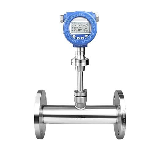 OPFVUJIKX Thermischer Massendurchflussmesser Smart Druckluft Erdgas Wasserstoff CO2 O2 Durchflussmesser Medizinischer Sauerstoff-Durchflussmesser(DN25) von OPFVUJIKX