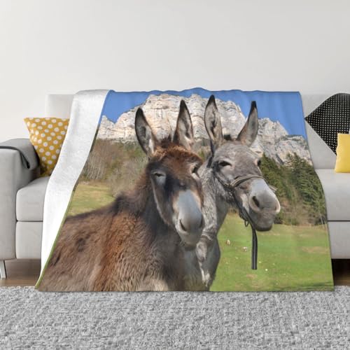 OPSREY Lustige Esel Gedruckt Flanell Decke Reversible Plüsch Decke Multifunktionale Decke Sofadecke von OPSREY