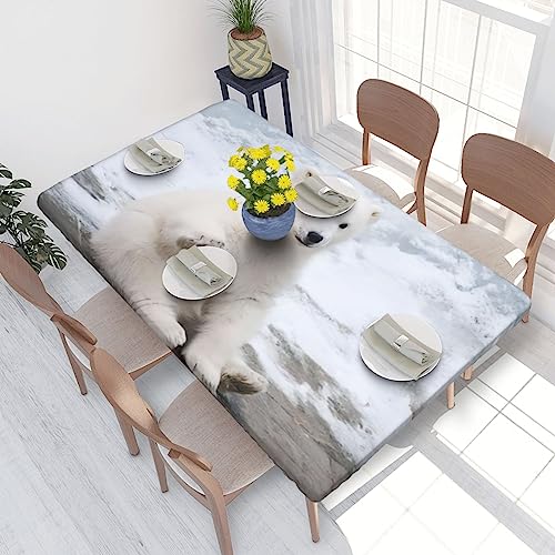 OPSREY Tischdecke mit Eisbär-Motiv, waschbar, elastisch, quadratisch, Tischschutz von OPSREY