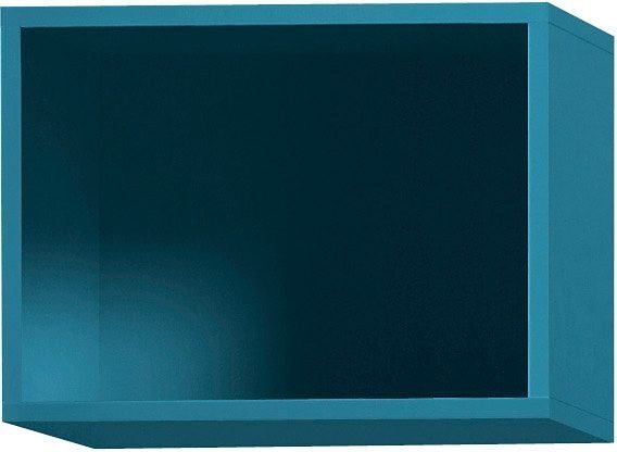 OPTIFIT Hängeregal Mini von OPTIFIT