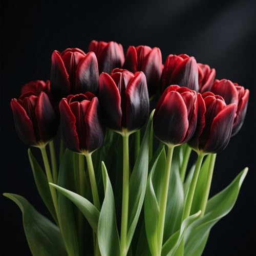 Darwin-Hybrid-Tulpen-Rhizome – winterharte Staude, geeignet für Gärten und Töpfe-4 Rhizome-H von OPVDJD