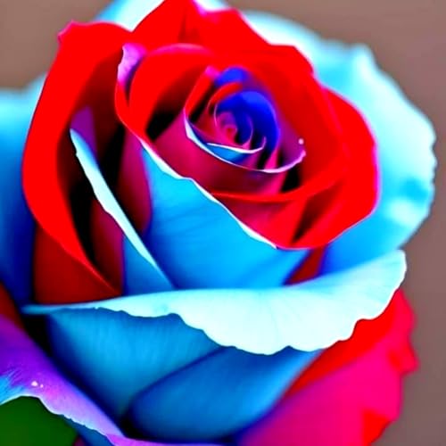 Rosenrhizom-winterharte Stauden/Zimmer/Balkon/Schreibtisch/Heimdekoration/Sehr dekorativ-A-1 Rhizome Rosenrhizom-winterharte Stauden/Zimmer/Balkon/Schreibtisch/Heimdekoration/Sehr dekorativ-A-1 Rhizome von OPVDJD