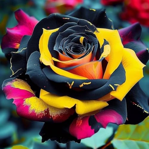 Rosenrhizom-winterharte Stauden/Zimmer/Balkon/Schreibtisch-B-2 Rhizome Rosenrhizom-winterharte Stauden/Zimmer/Balkon/Schreibtisch-B-2 Rhizome von OPVDJD