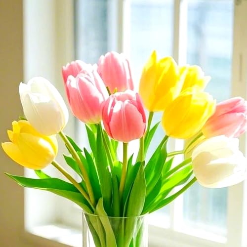 Tulpen-Mehrjährig winterhart/Verschönern Sie Ihre Umgebung/Geeignet zur Dekoration Ihres Gartens/Begrünung-6 Rhizome-C Tulpen-Mehrjährig winterhart/Verschönern Sie Ihre Umgebung/Geeignet zur Dekoration Ihres Gartens/Begrünung-6 Rhizome-C von OPVDJD